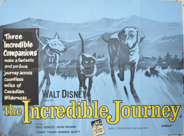 Original Poster image from 1960s film: The Incredible Journey (see credits)